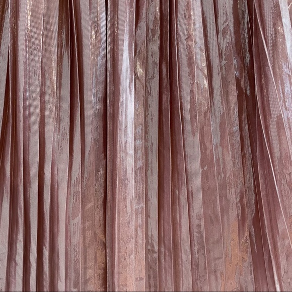 Zara Pink Pleated Skirt NWT - Picture 2 of 4